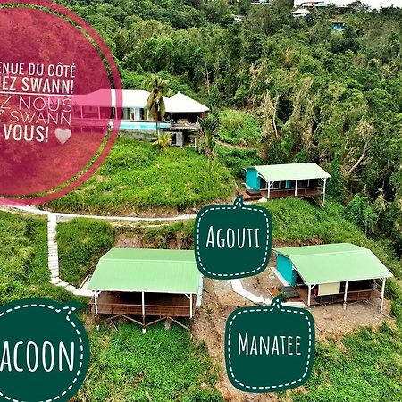 Du Cote De Chez Swann Villa Deshaies Bagian luar foto
