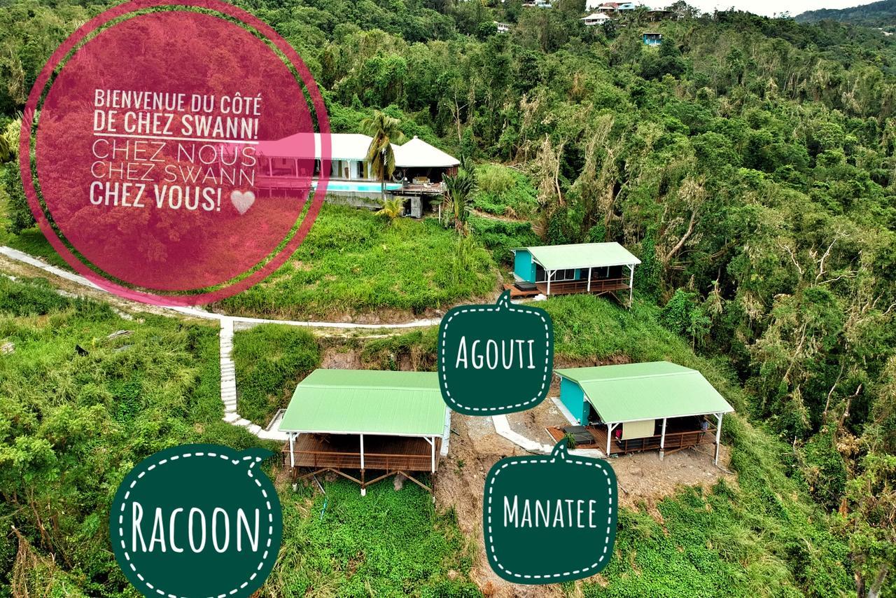 Du Cote De Chez Swann Villa Deshaies Bagian luar foto