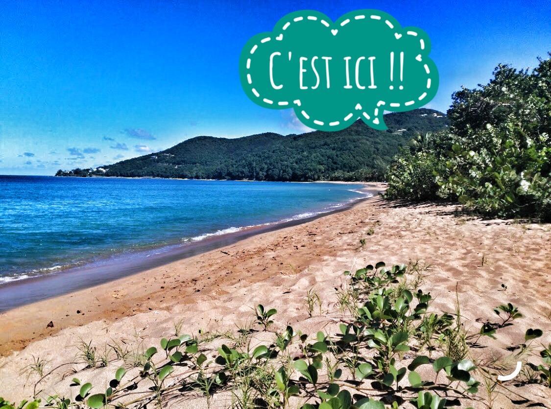 Du Cote De Chez Swann Villa Deshaies Bagian luar foto