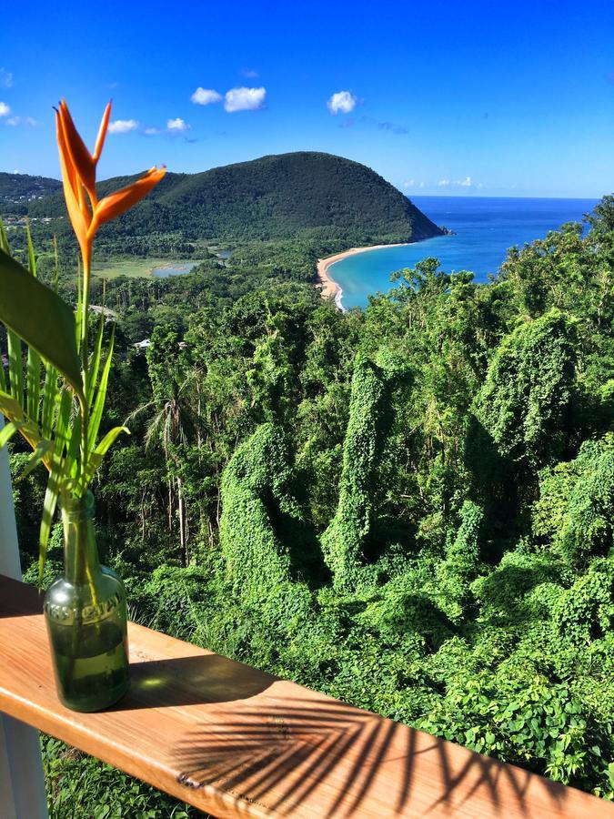 Du Cote De Chez Swann Villa Deshaies Bagian luar foto